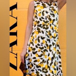 Zara Basic Women's Lemon citrus Print Shift Dress Sz S